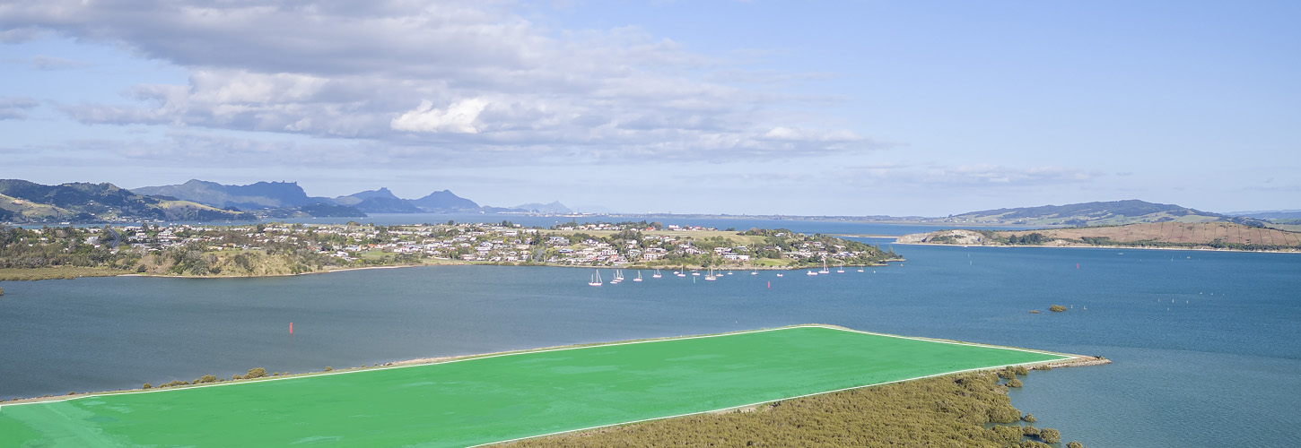 Port Nikau