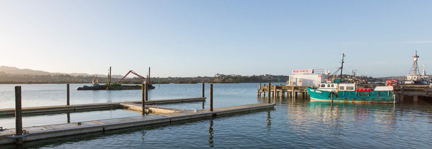 Port Nikau