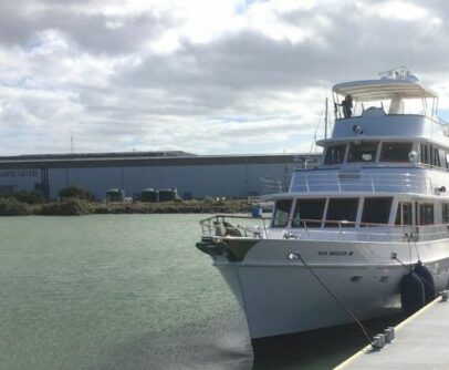 Port Nikau-Integrated Marine Centre